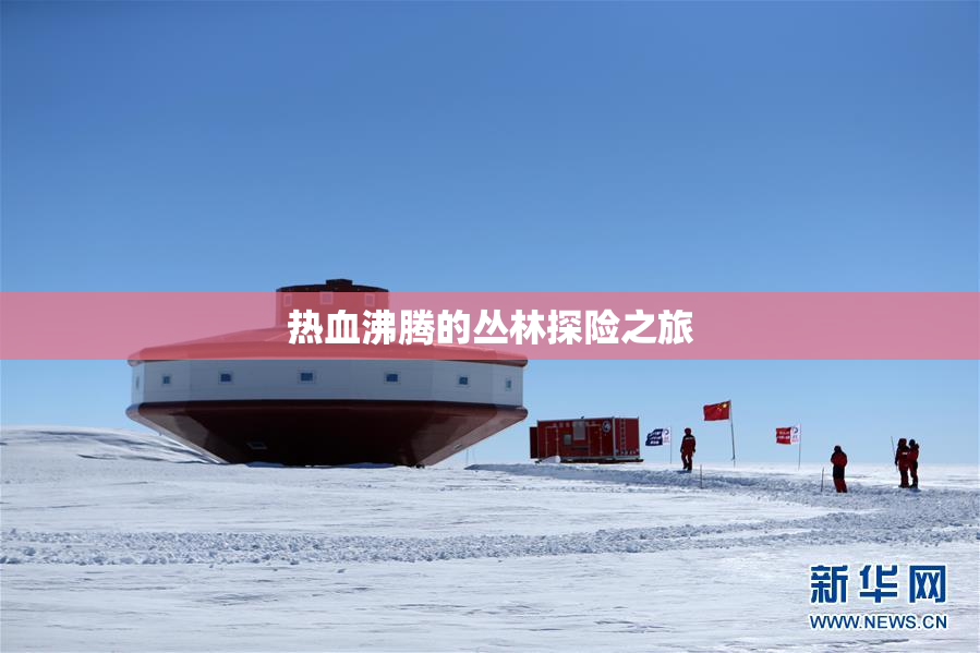 热血沸腾的丛林探险之旅
