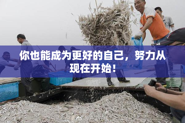 你也能成为更好的自己，努力从现在开始！