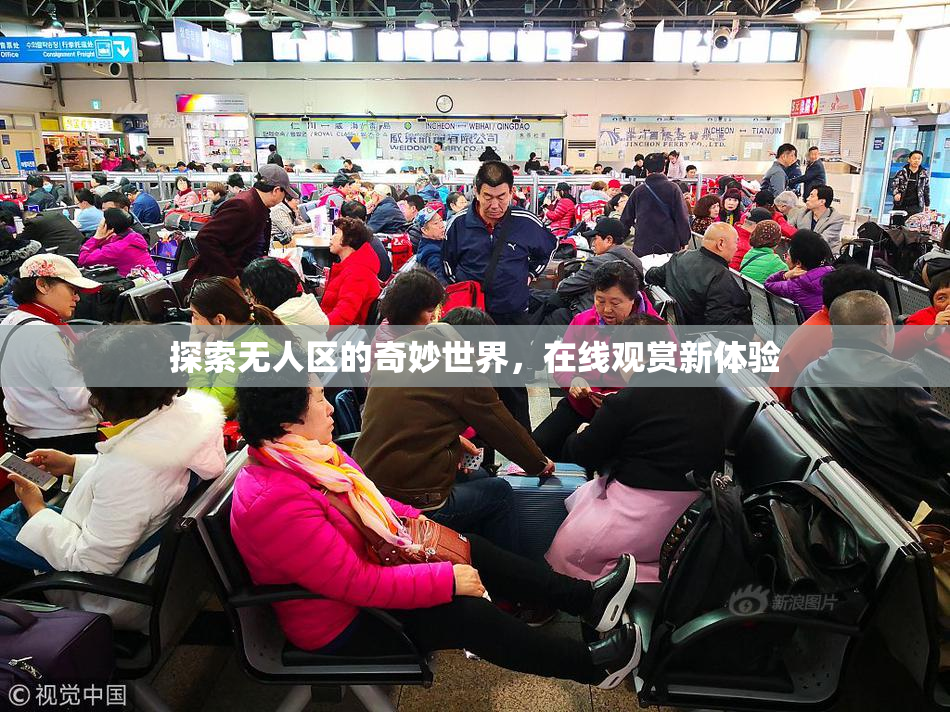 探索无人区的奇妙世界，在线观赏新体验