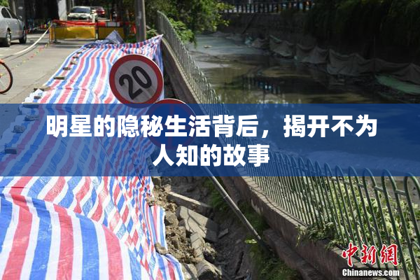 明星的隐秘生活背后，揭开不为人知的故事