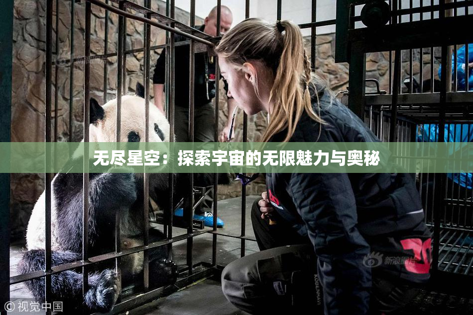 无尽星空：探索宇宙的无限魅力与奥秘