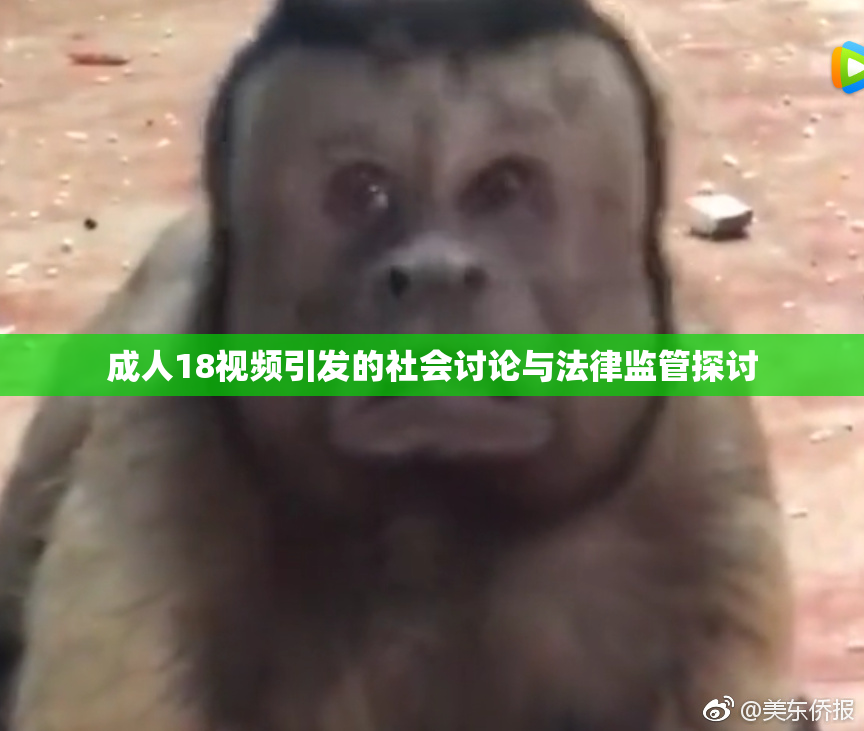 成人18视频引发的社会讨论与法律监管探讨