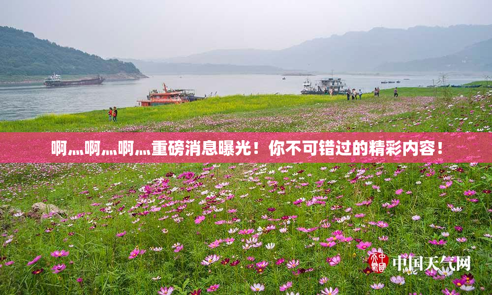 啊灬啊灬啊灬重磅消息曝光！你不可错过的精彩内容！