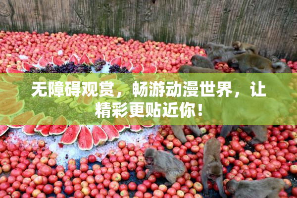 无障碍观赏，畅游动漫世界，让精彩更贴近你！
