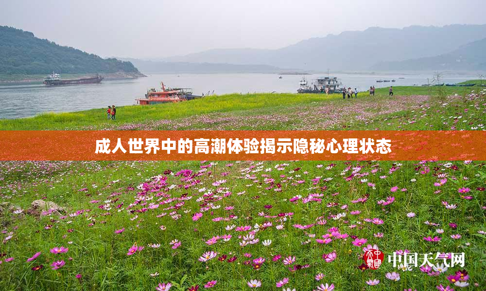 成人世界中的高潮体验揭示隐秘心理状态