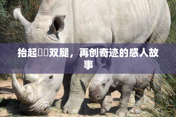 抬起妺妺双腿，再创奇迹的感人故事