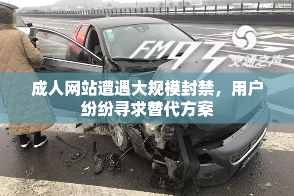 成人网站遭遇大规模封禁，用户纷纷寻求替代方案