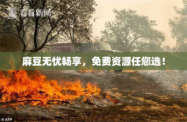 麻豆无忧畅享，免费资源任您选！