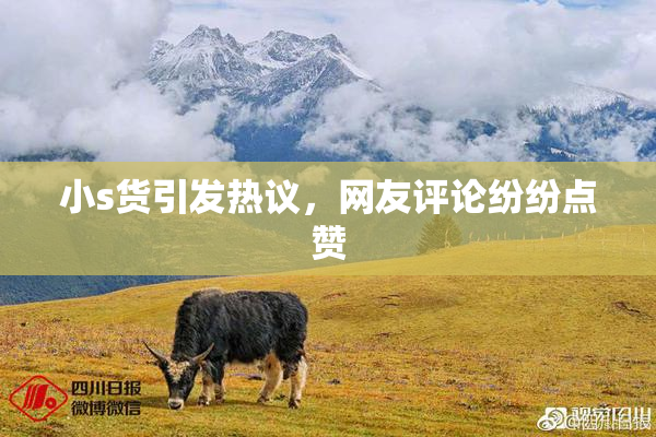 小s货引发热议，网友评论纷纷点赞