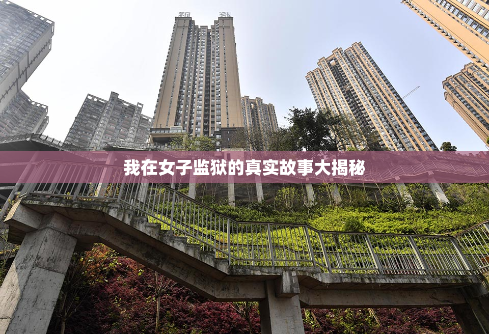 我在女子监狱的真实故事大揭秘
