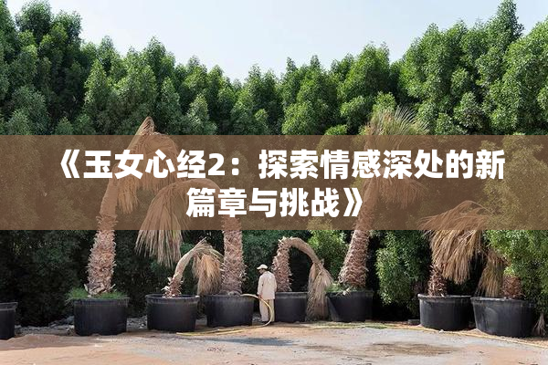 《玉女心经2：探索情感深处的新篇章与挑战》