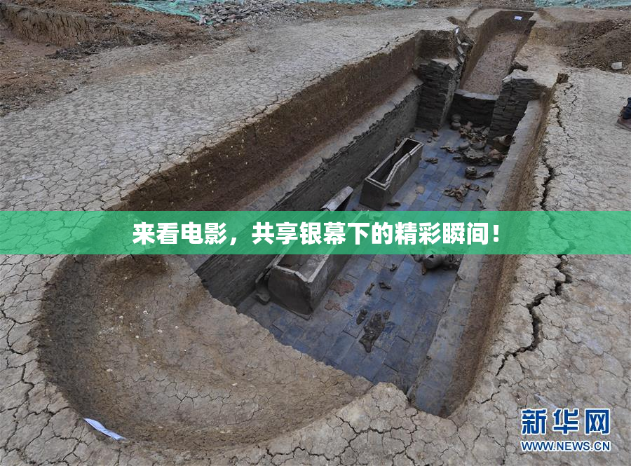 来看电影，共享银幕下的精彩瞬间！