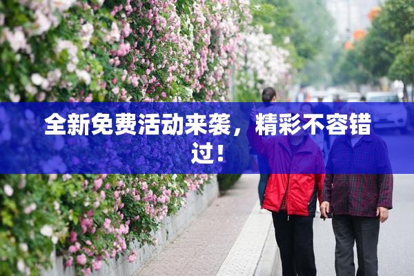 全新免费活动来袭，精彩不容错过！
