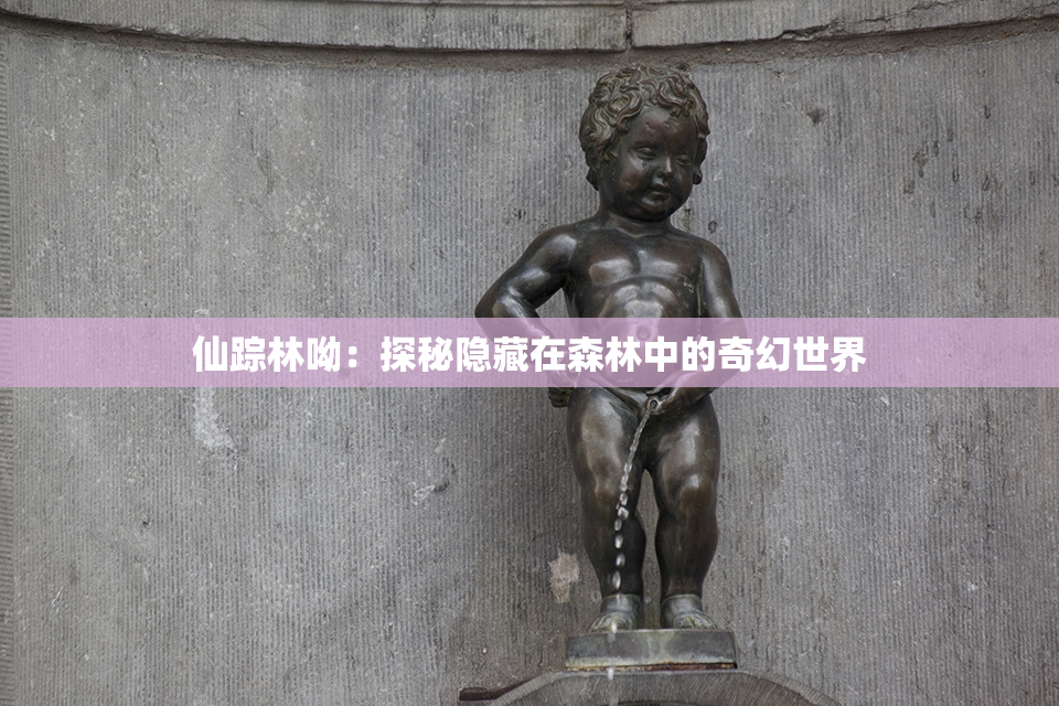 仙踪林呦：探秘隐藏在森林中的奇幻世界