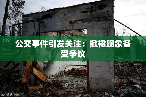 公交事件引发关注：掀裙现象备受争议