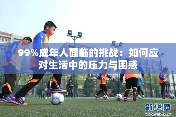 99%成年人面临的挑战：如何应对生活中的压力与困惑