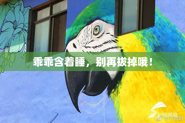 乖乖含着睡，别再拔掉哦！