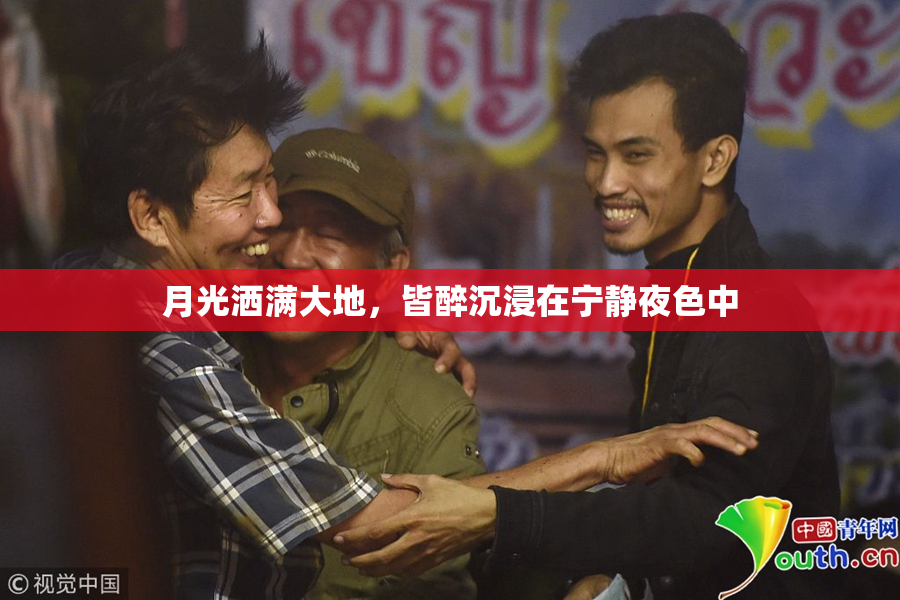 月光洒满大地，皆醉沉浸在宁静夜色中