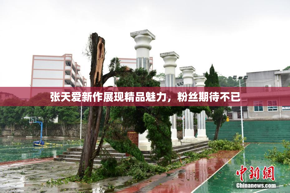 张天爱新作展现精品魅力，粉丝期待不已