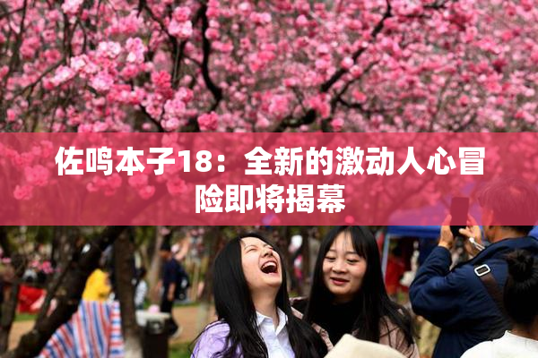 佐鸣本子18：全新的激动人心冒险即将揭幕