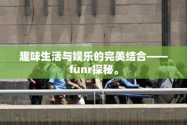 趣味生活与娱乐的完美结合——funr探秘。