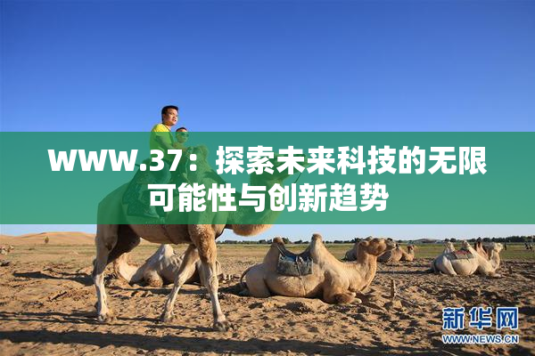 WWW.37：探索未来科技的无限可能性与创新趋势
