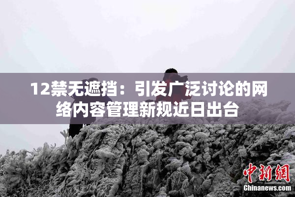 12禁无遮挡：引发广泛讨论的网络内容管理新规近日出台