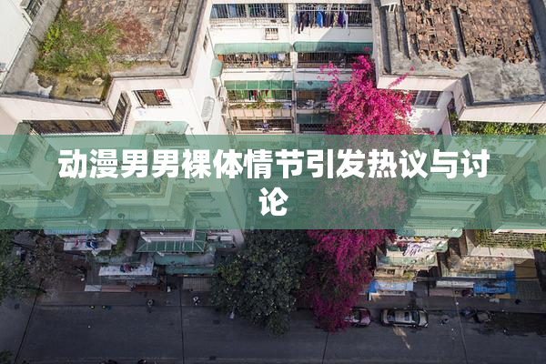 动漫男男裸体情节引发热议与讨论