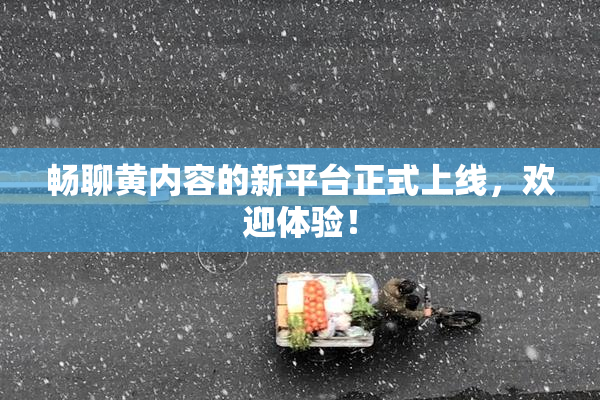 畅聊黄内容的新平台正式上线，欢迎体验！