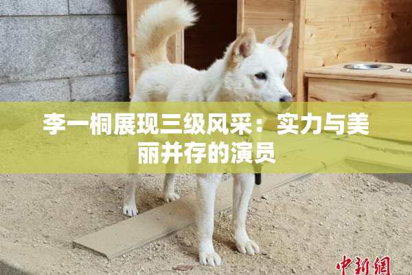 李一桐展现三级风采：实力与美丽并存的演员