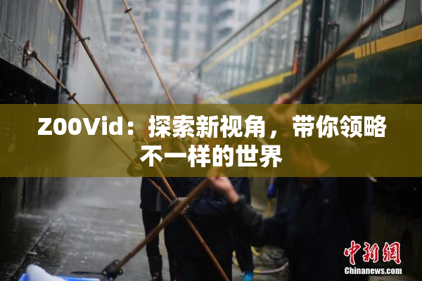 Z00Vid：探索新视角，带你领略不一样的世界