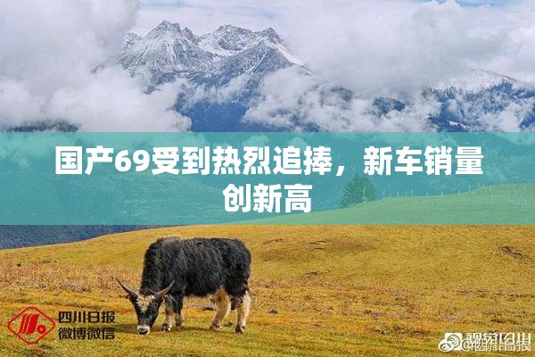 国产69受到热烈追捧，新车销量创新高