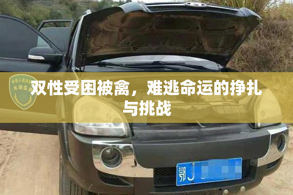 双性受困被禽，难逃命运的挣扎与挑战
