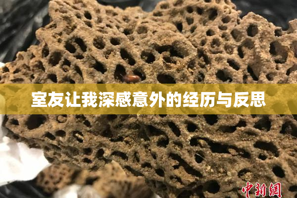 室友让我深感意外的经历与反思