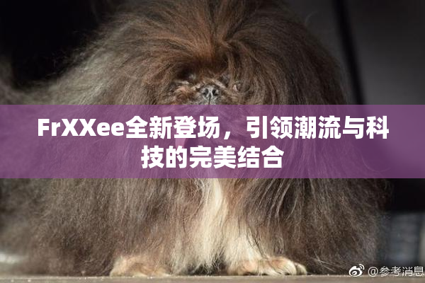 FrXXee全新登场，引领潮流与科技的完美结合