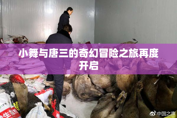 小舞与唐三的奇幻冒险之旅再度开启