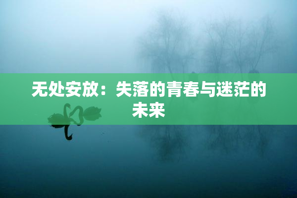 无处安放：失落的青春与迷茫的未来