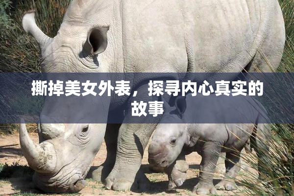 撕掉美女外表，探寻内心真实的故事