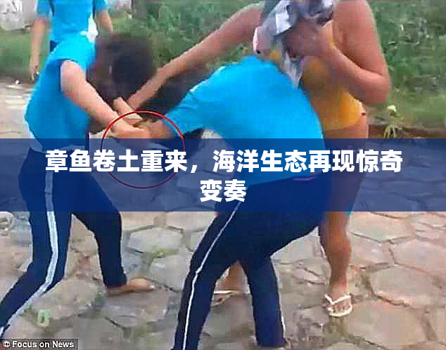 章鱼卷土重来，海洋生态再现惊奇变奏