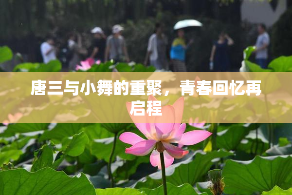 唐三与小舞的重聚，青春回忆再启程