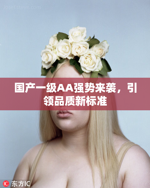 国产一级AA强势来袭，引领品质新标准