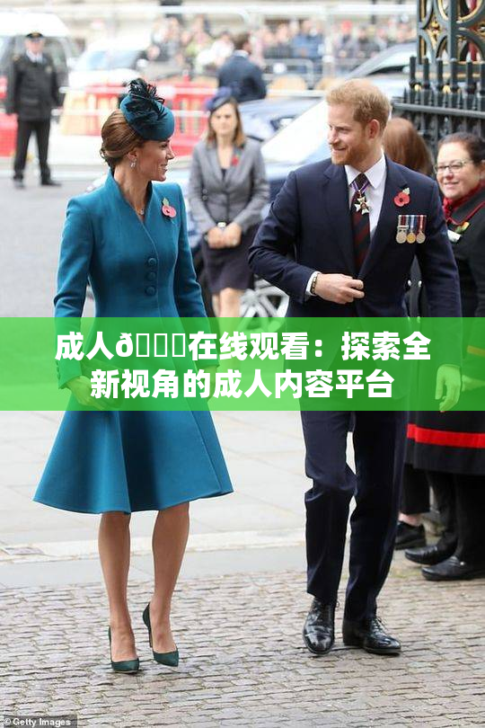 成人🔞在线观看：探索全新视角的成人内容平台