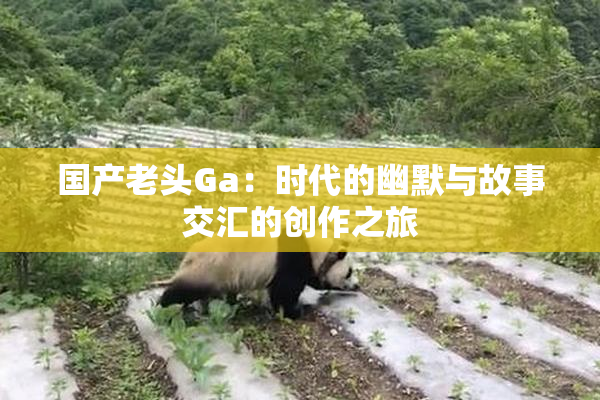 国产老头Ga：时代的幽默与故事交汇的创作之旅