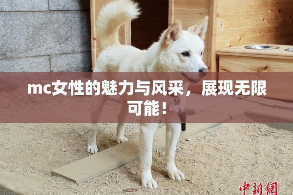 mc女性的魅力与风采，展现无限可能！