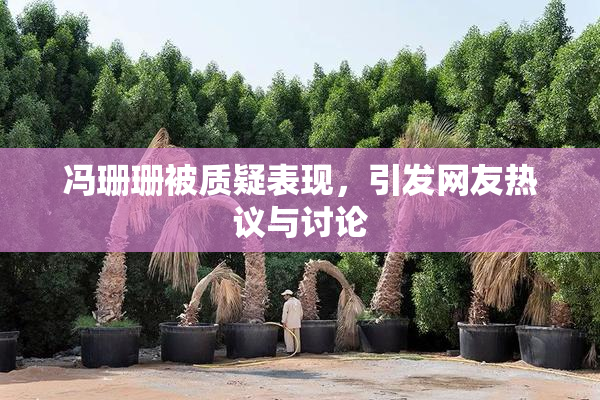 冯珊珊被质疑表现，引发网友热议与讨论
