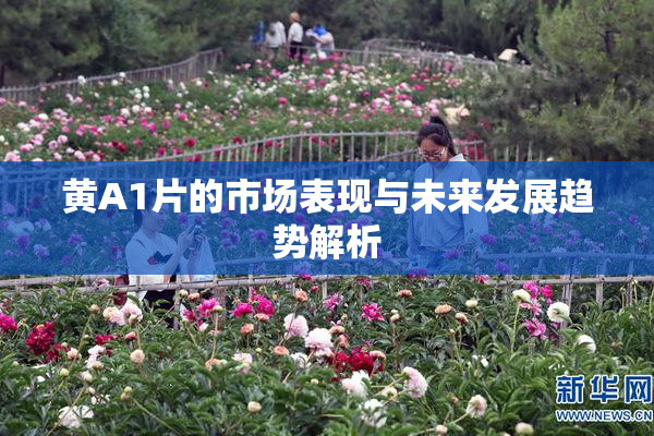 黄A1片的市场表现与未来发展趋势解析