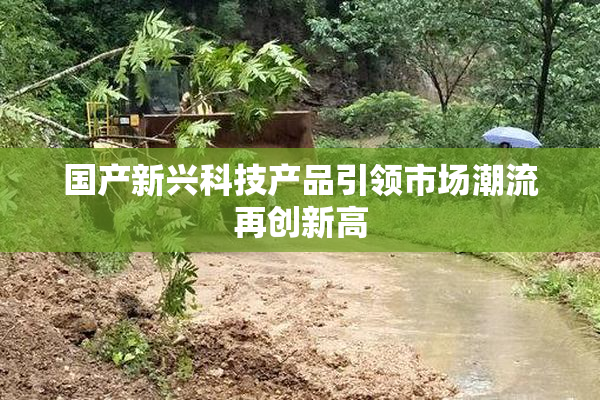 国产新兴科技产品引领市场潮流再创新高