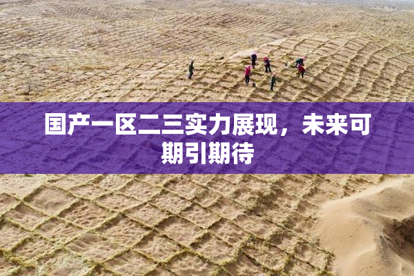 国产一区二三实力展现，未来可期引期待