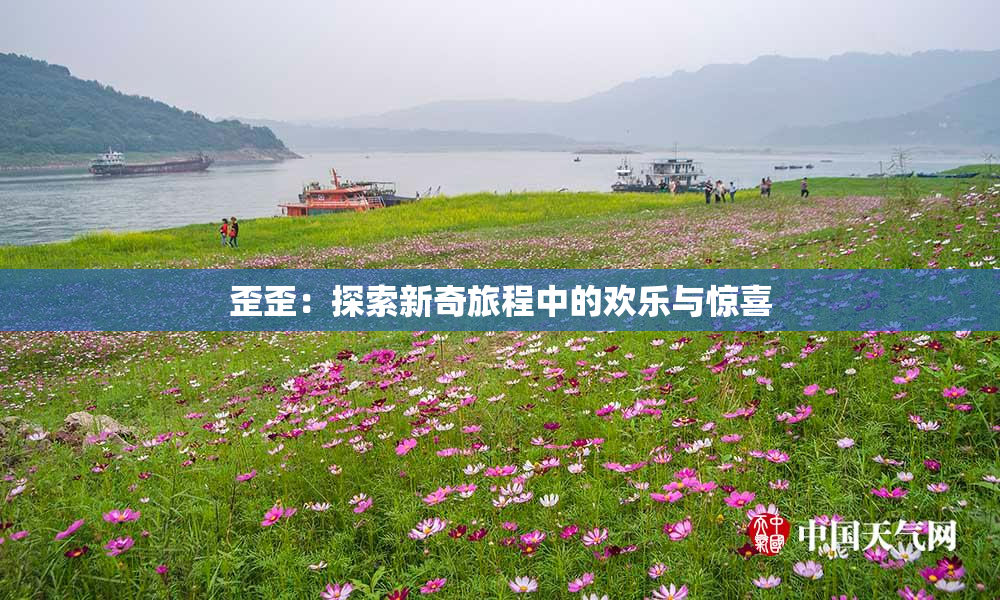 歪歪：探索新奇旅程中的欢乐与惊喜