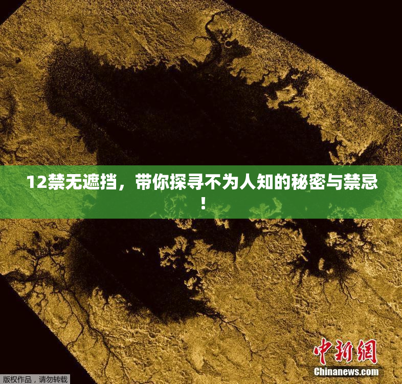 12禁无遮挡，带你探寻不为人知的秘密与禁忌！